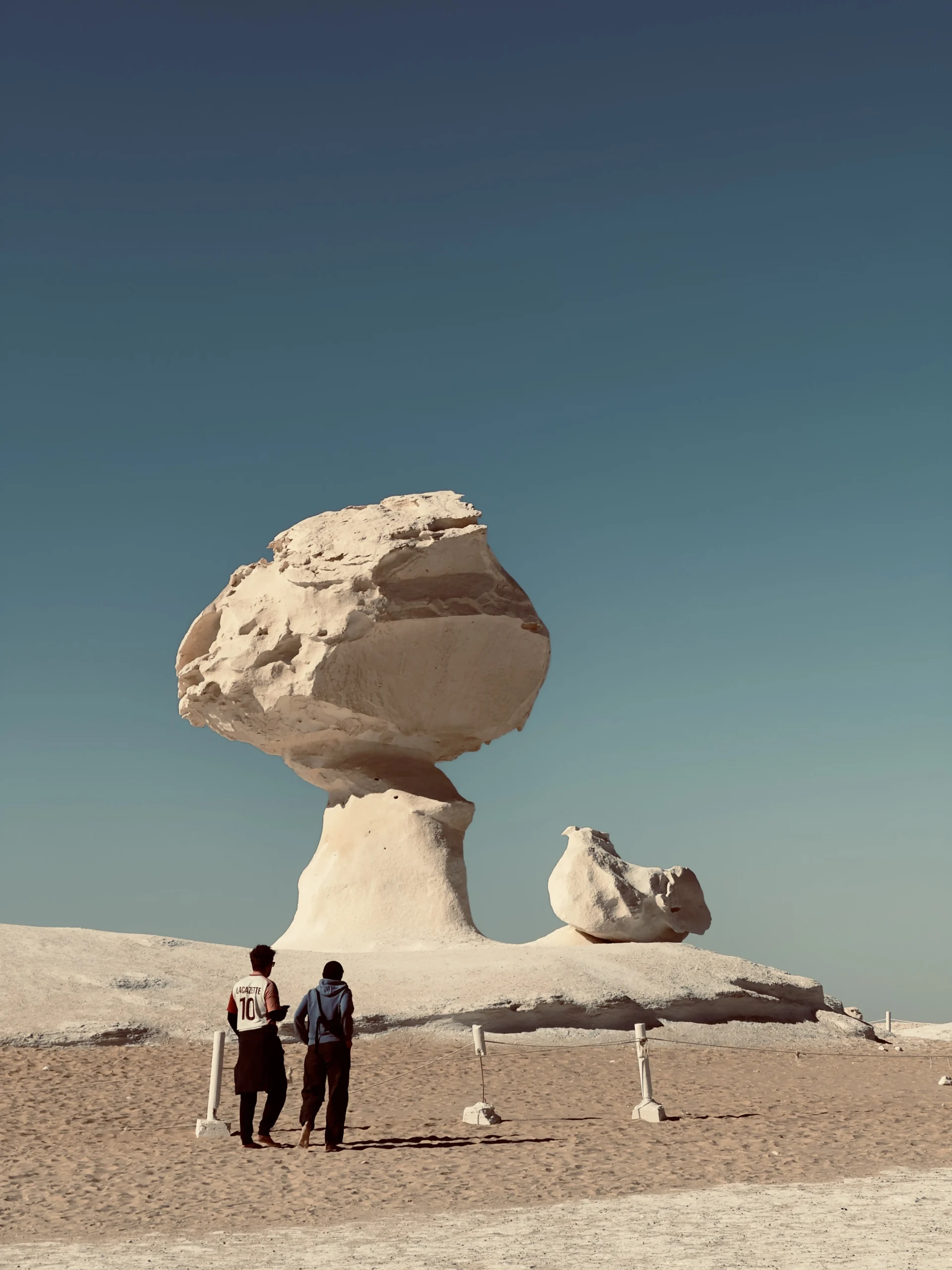 White desert scaled