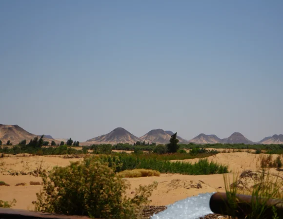 Bahariya Oasis Hot Springs: Best Springs & Visiting Tips