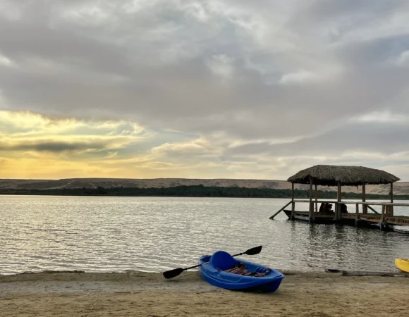Bahariya Oasis Salt Lake: Sunset and Visitor Guide