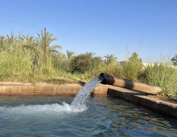 Bahariya Oasis Egypt Travel Guide: Attractions, Springs & Desert Trips