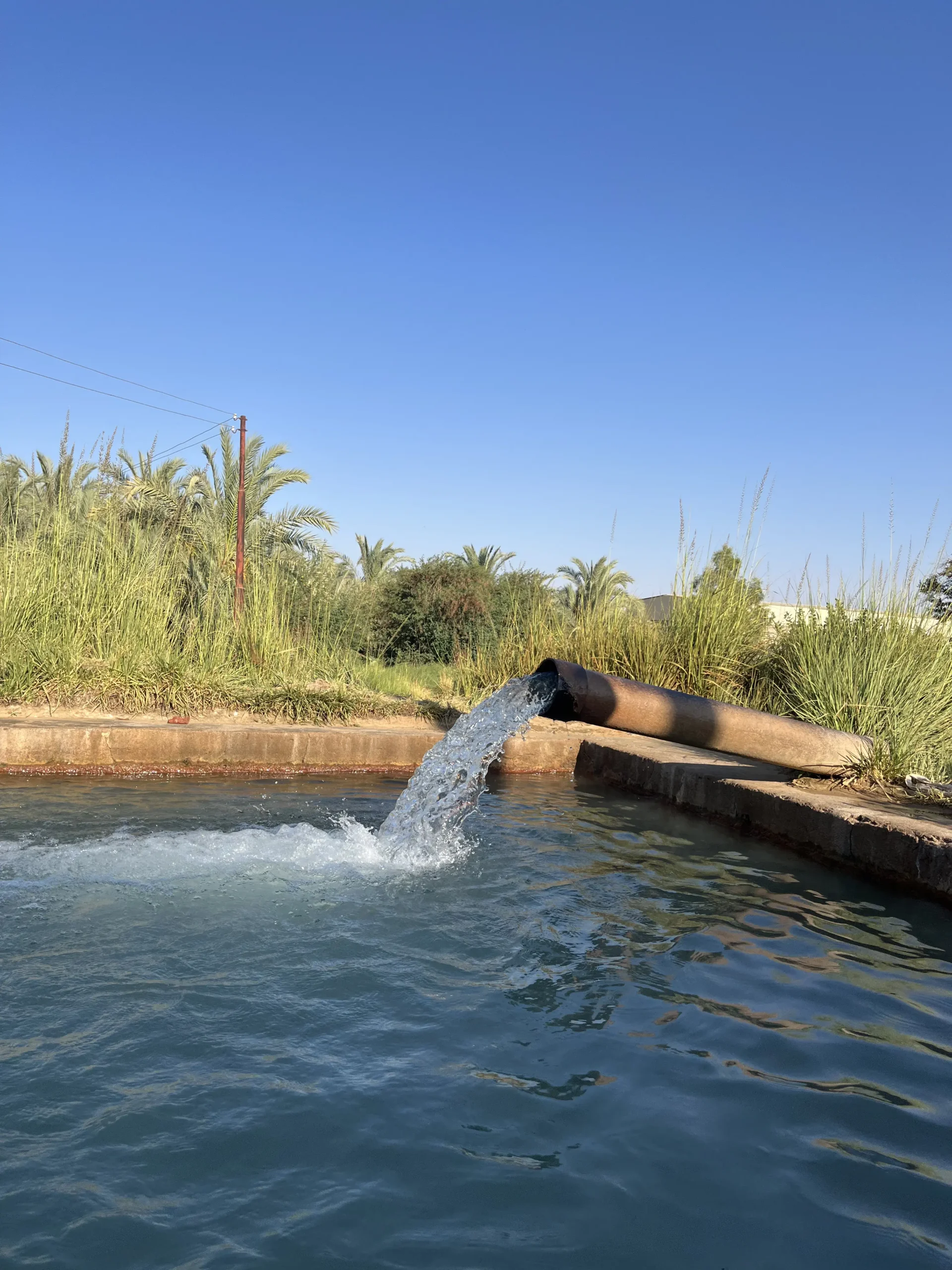 Bahariya Oasis Egypt Travel Guide