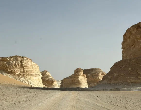 Black Desert vs White Desert Egypt: What’s Different?