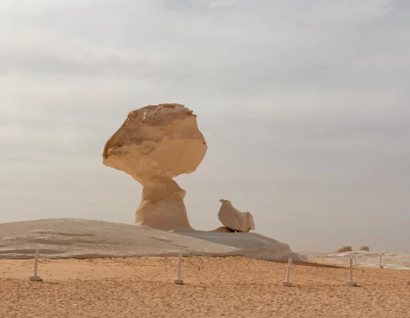 How to Get to the White Desert from Cairo: Route & Travel Time