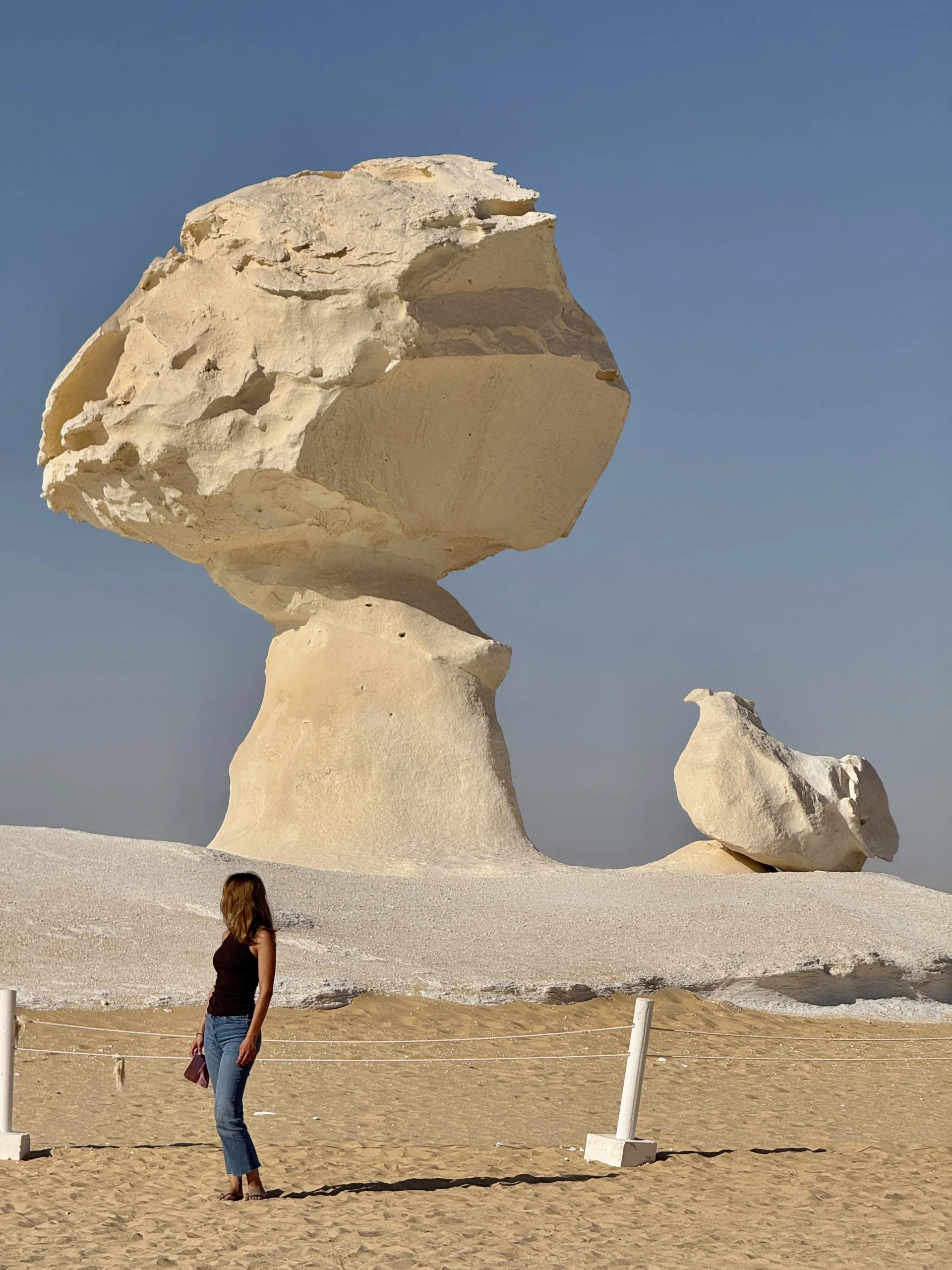 White Desert