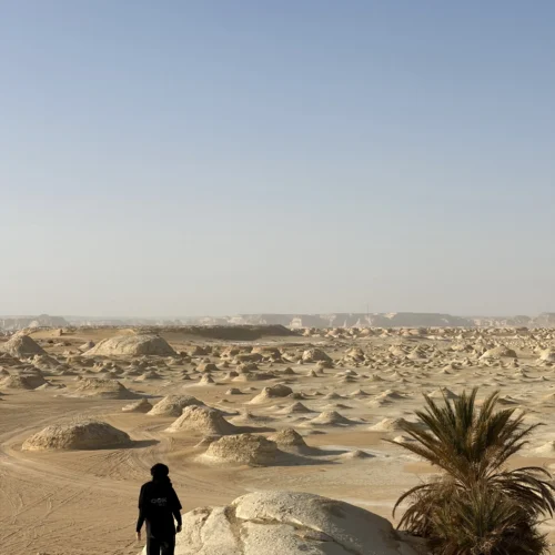 A 4x4 route through Egypt's Western Desert from the Elzaghandi Travel gallery