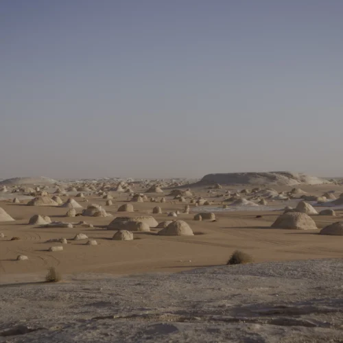 Bahariya links inhabited oasis landscapes with remote four-wheel-drive routes